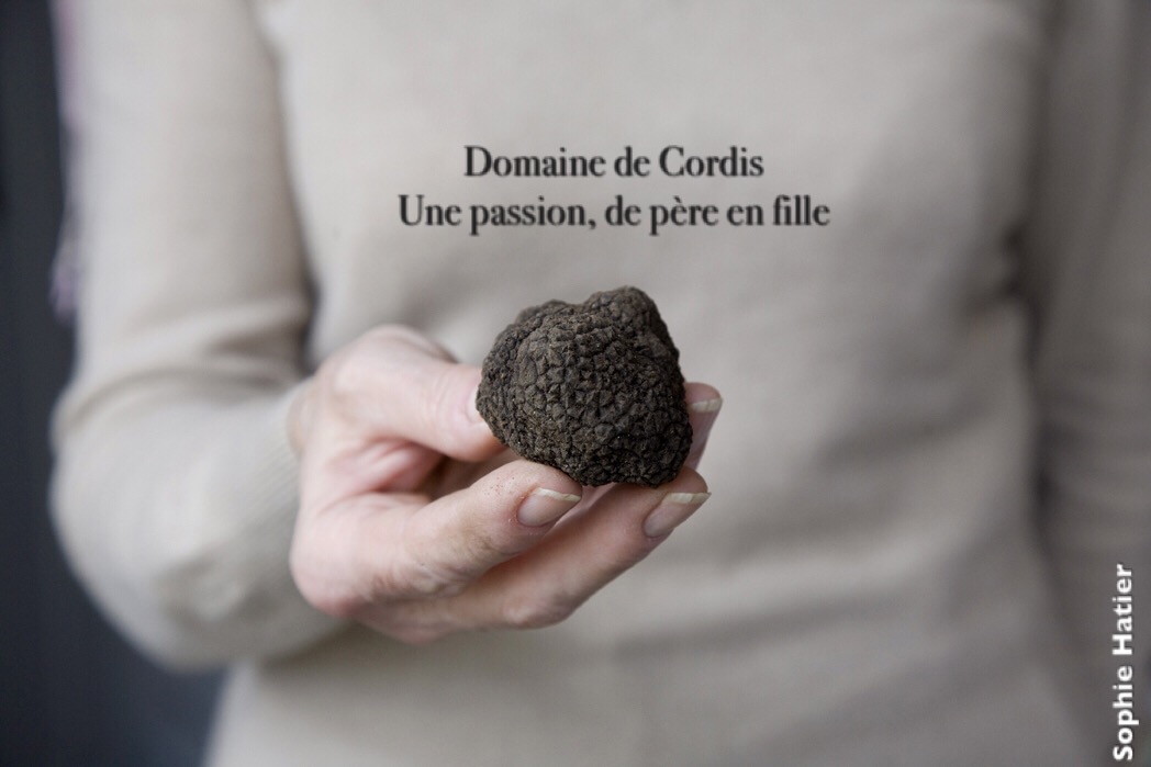 domaine de cordis - production trufficole drôme France